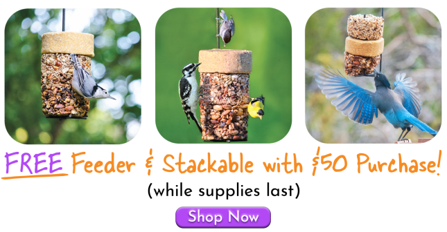 Wild Birds Unlimited - Nature Shop